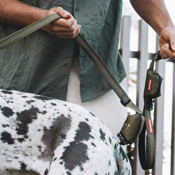 EzyDog Essential Poop Bag Holder in Green