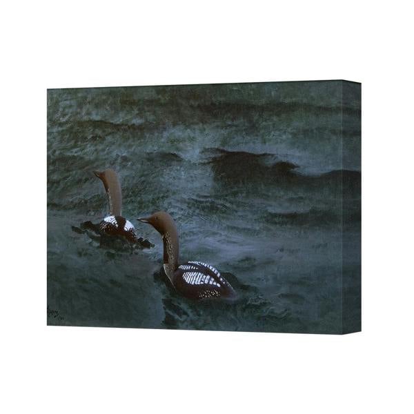 Benjamin Tate Design Two Loons In Dark Water Canvas Art Print CANVAS 2087