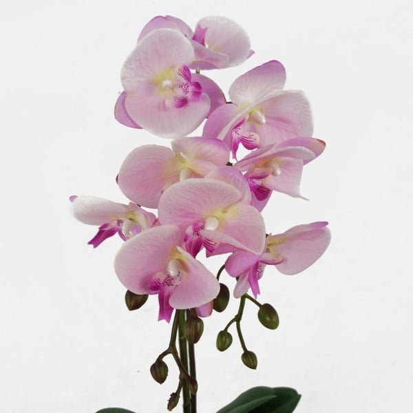 Leaf 50cm Phalaenopsis Orchid Artificial - Light Pink Silver