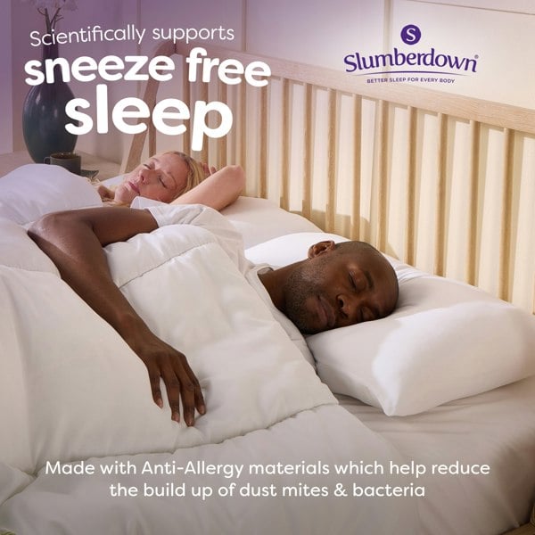 Anti Allergy Soft Support Pillow