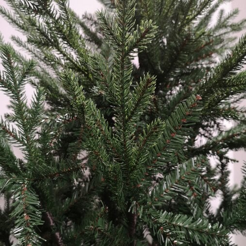 Samuel Alexander 7ft 210cm Green Glenshee Spruce Artificial Christmas Tree PE and PVC Mix Natural Look