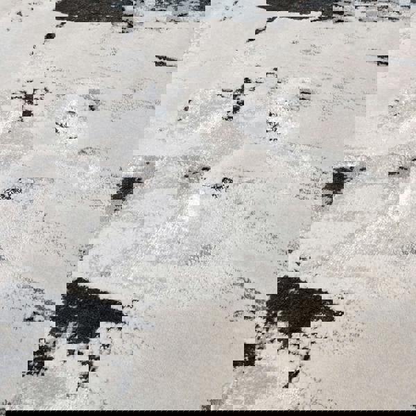 Asiatic Aurora AU10 Glacier Rug