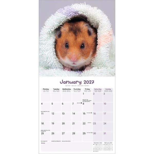 Hamsters Calendar 2027, Wall Calendars, Month To View, Animals, Gift