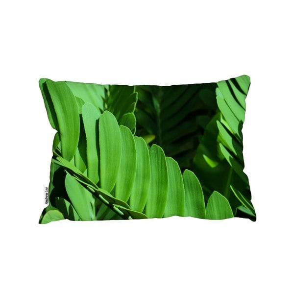 Benjamin Tate Design Natural Dark Green Leaves, Long Slender Green Leaves (Outdoor Cushion)