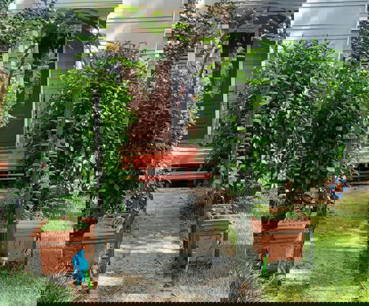 Gr8 Garden Metal Garden Patio Arch With Planters Rose Arbour Archway Climbing Plant Trellis