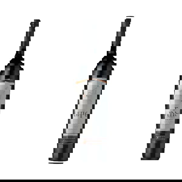 Ventisquero Vertice 2021