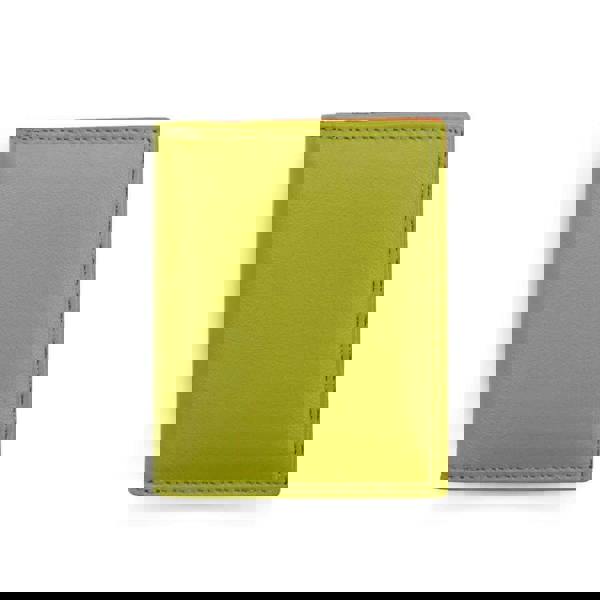 front view of green london multicolour credit card holder