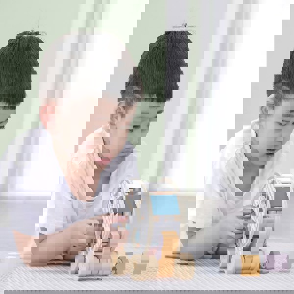 Polar B Hedgehog Sorting Wheel