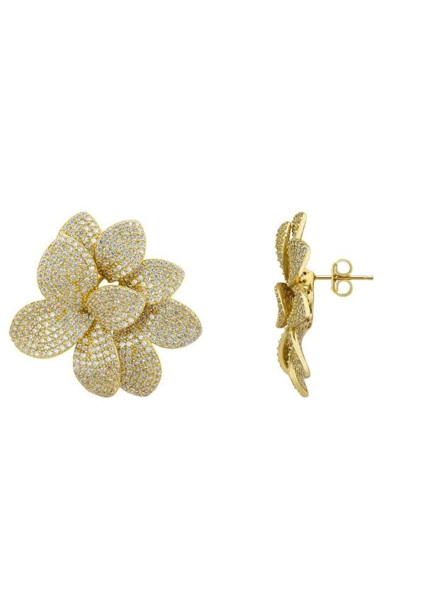 Push backing of the earrings.