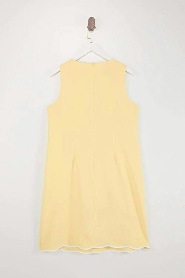WOVCOR A-Line Mini Woven Plus Size Dress