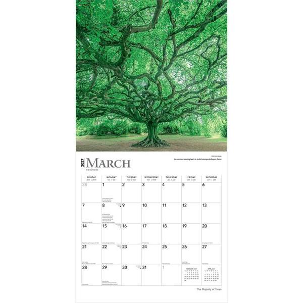 The Majesty of Trees Calendar 2027, Wall Calendars, Month To View, Natural World, Gift