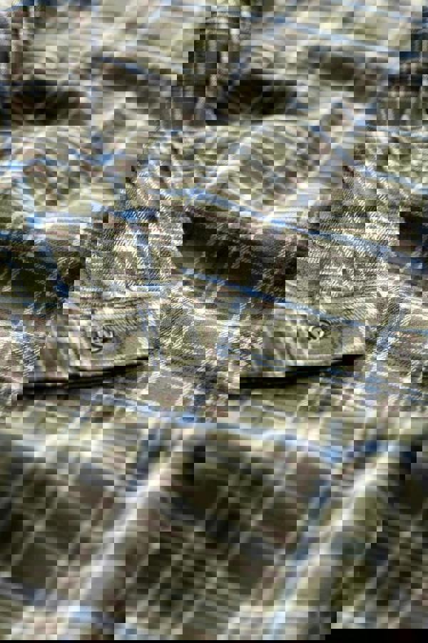 Lily & Me Beech Organic Brushed Cotton Checked Shirt Multicoloured