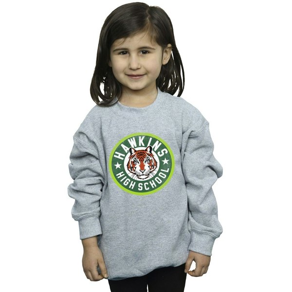 Netflix Girls Stranger Things Hawkins Tiger Circle Sweatshirt - Sports Grey