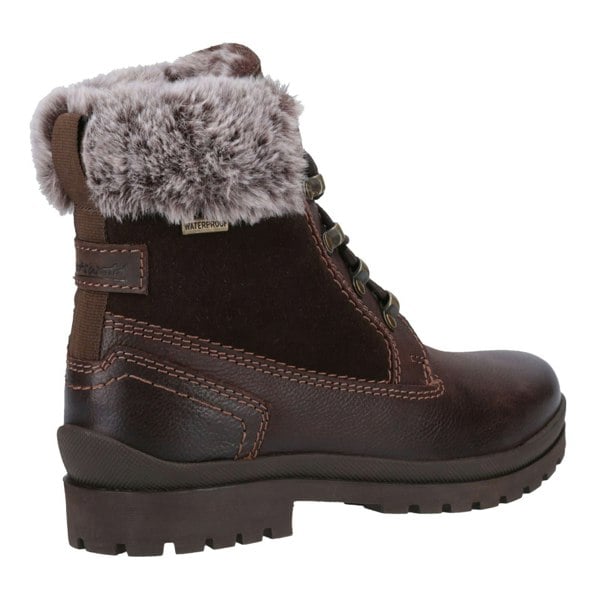 Cotswold Evenlode Leather Women's Brown Winter Ankle Boots