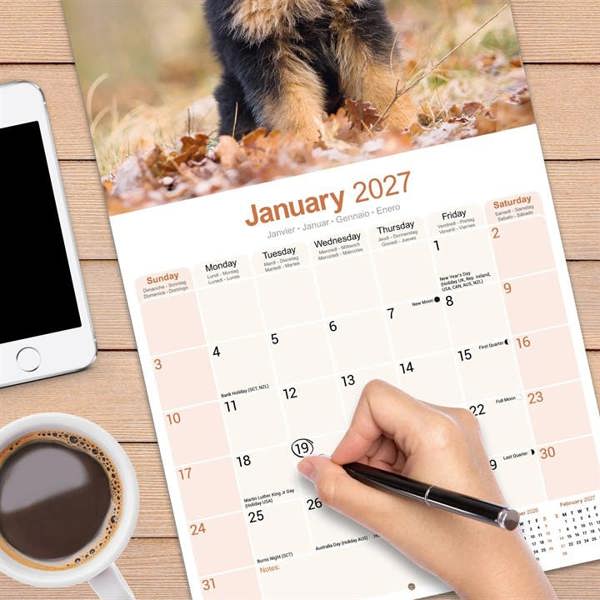 German Shepherd Puppies Calendar 2027, Wall Calendars, Month To View, Dogs, Gift