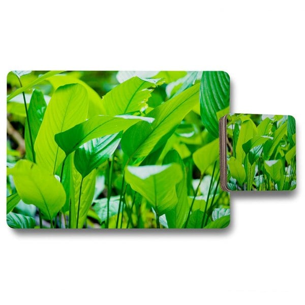Benjamin Tate Design Green leaf background abstract of nature (Placemat & Coaster Set)