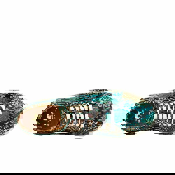 Embassy London Camila - Green & Brown Snake - Women’s Chunky Leather Platform Trainer