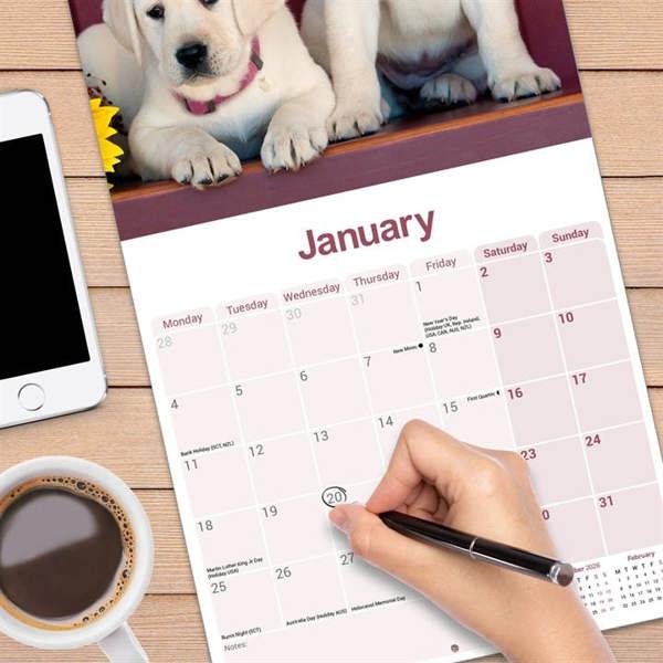 Yellow Labrador Retriever Calendar 2027, Wall Calendars, Month To View, Dogs, Gift