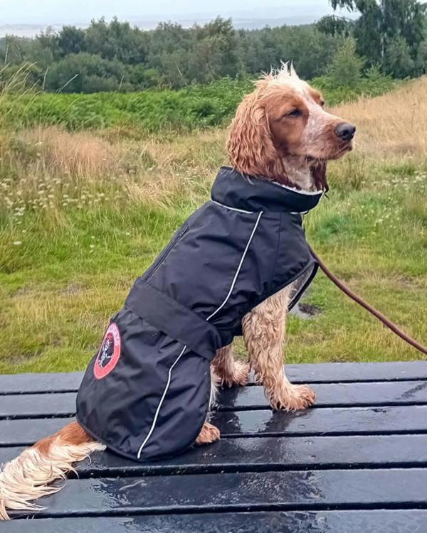 DRYBONES Waterproof Dog Coat