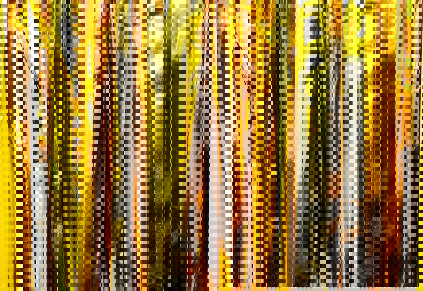 Cheetah Metallic Tinsel Curtain, 3M x 1M Gold