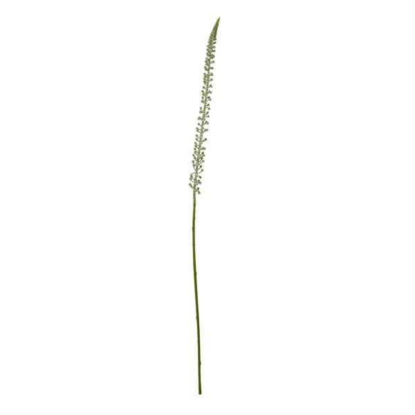 Wyld Haus Set of 3 Artificial Flowers White Eremurus Stems