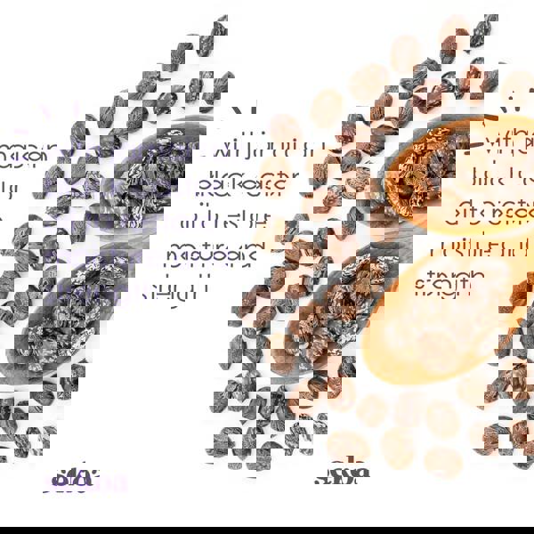 Sekoa Jamaican Black Castor Oil Conditioner