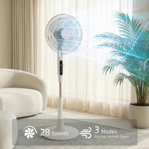 Floor Fan