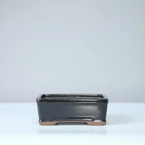 Yorkshire Bonsai 16cm Glazed Bonsai Pot | Rectangle | 16cm x 13cm x 6cm | Black