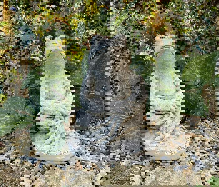 Cute Prince Frog Pond Ornament