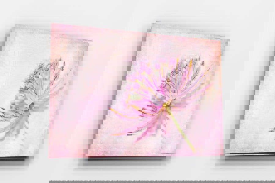 Fernlight Gallery Pink Palette