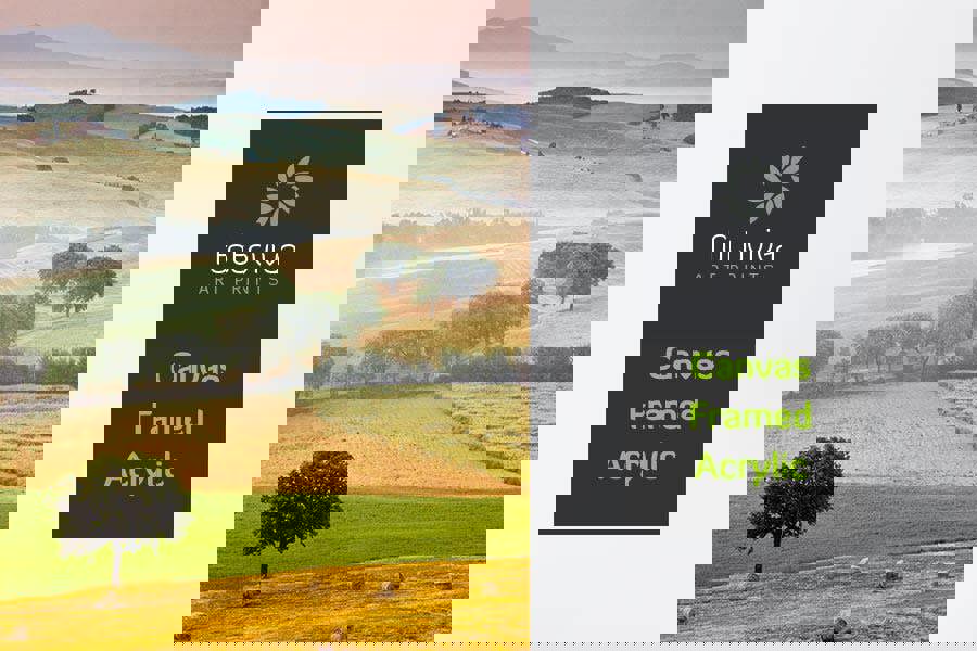 Fernlight Gallery Tuscan Fields