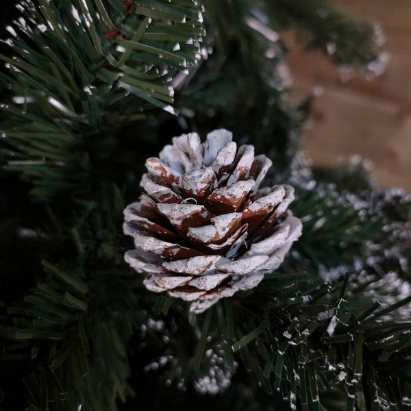 Samuel Alexander 2.4m /8ft Rocky Mountain Pine Green Artificial Christmas Tree Snow Tip and Pine Cones