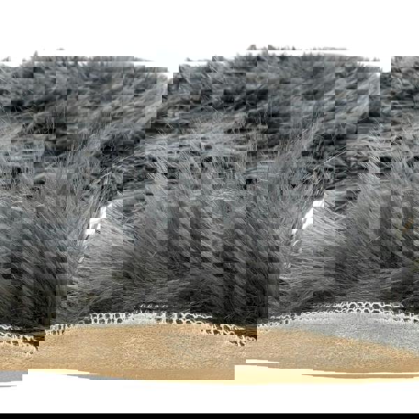 HomeSpace Direct Luxury Faux Rabbit Fur Rug Dark Grey