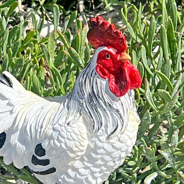 Farmwood White Cockerel Bird Garden Animal Ornament