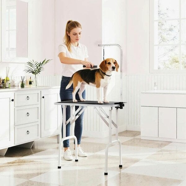 32" Foldable Dog Grooming Table Pet Drying Beauty Table Adjustable Fixed Arm Rubber Top, Black - Black