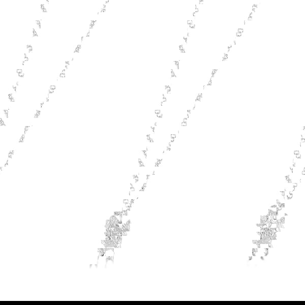 Bichon Frise Silver Necklace - Personalised - MYLEE London