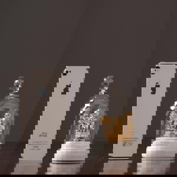 Decoration: A Set Of Four Cactus-Weilai Concept-Weilai Concept