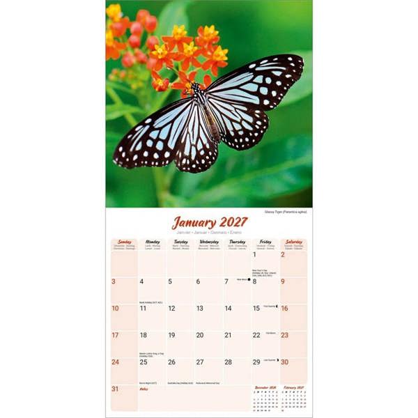 Butterflies Calendar 2027, Wall Calendars, Month To View, Animals, Gift