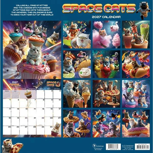Space Cats Calendar 2027, Wall Calendars, Month To View, Humour, Gift