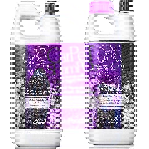 Pretty Pooch Dog Carpet Shampoo Cleaner Solution for Machines/Manual Use (Lavender Fields Fragrance) - 5 litres
