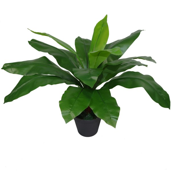 Leaf 50cm Bushy Artificial Bird's Nest Fern Plant