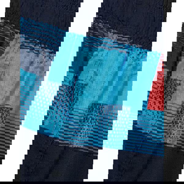 Speedo Sport blue red 16’’ watershorts with blue black stripes