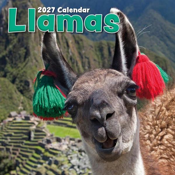 Llamas Calendar 2027, Wall Calendars, Month To View, Humour, Gift