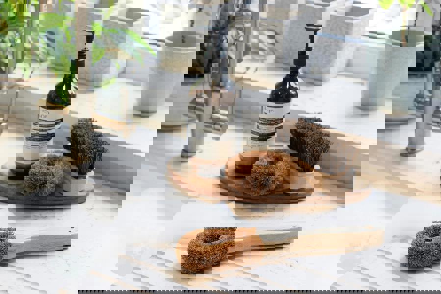 Natural Elements 3-Piece Eco-Friendly Coconut Fibre Brush Set