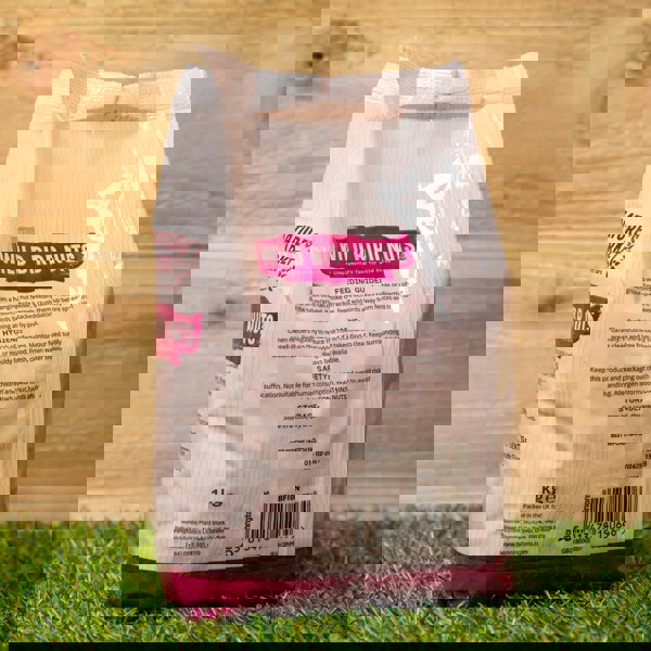 Samuel Alexander 1kg Bag Garden Wild Bird Whole Nuts Feed