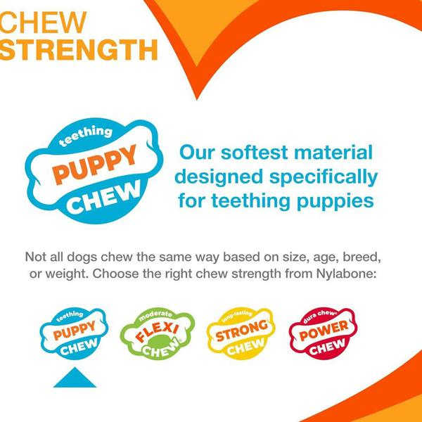 Nylabone Gentle Puppy Teething X Bone Dental Chew Toy, Beef Flavour, Extra Small