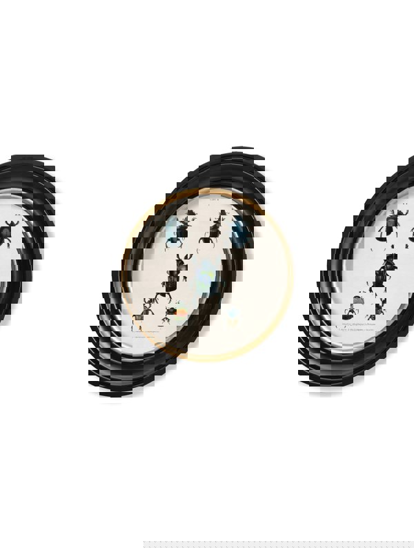 Exceptional Art c.1836 Beetle Plates - Round Frame