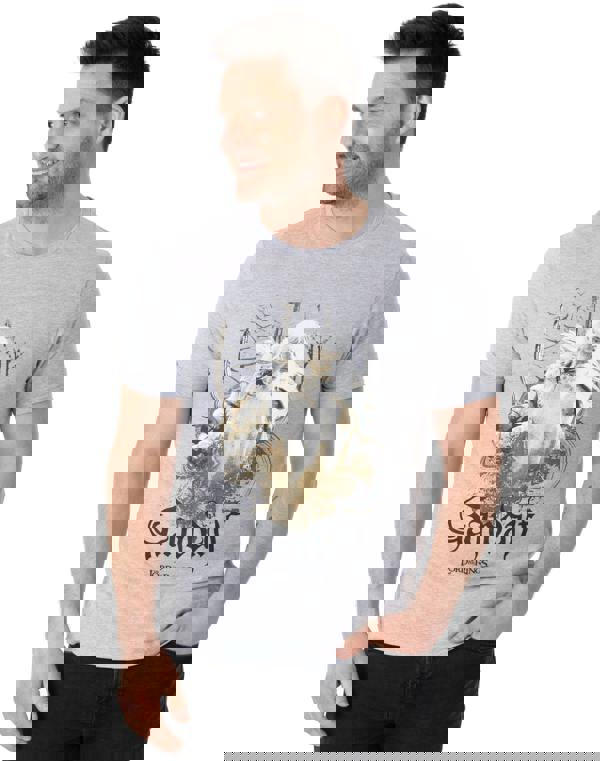 Lord Of The Rings Mens Grey Gandalf Short Sleeved T-Shirt