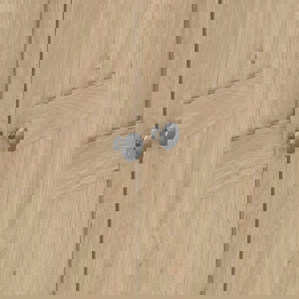 Furniture To Go Brande Wardrobe with 2 Frame Doors in Jackson Hickory