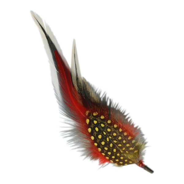 Gamble & Gunn Feather Mounts - Collection of 8 (Pack B)